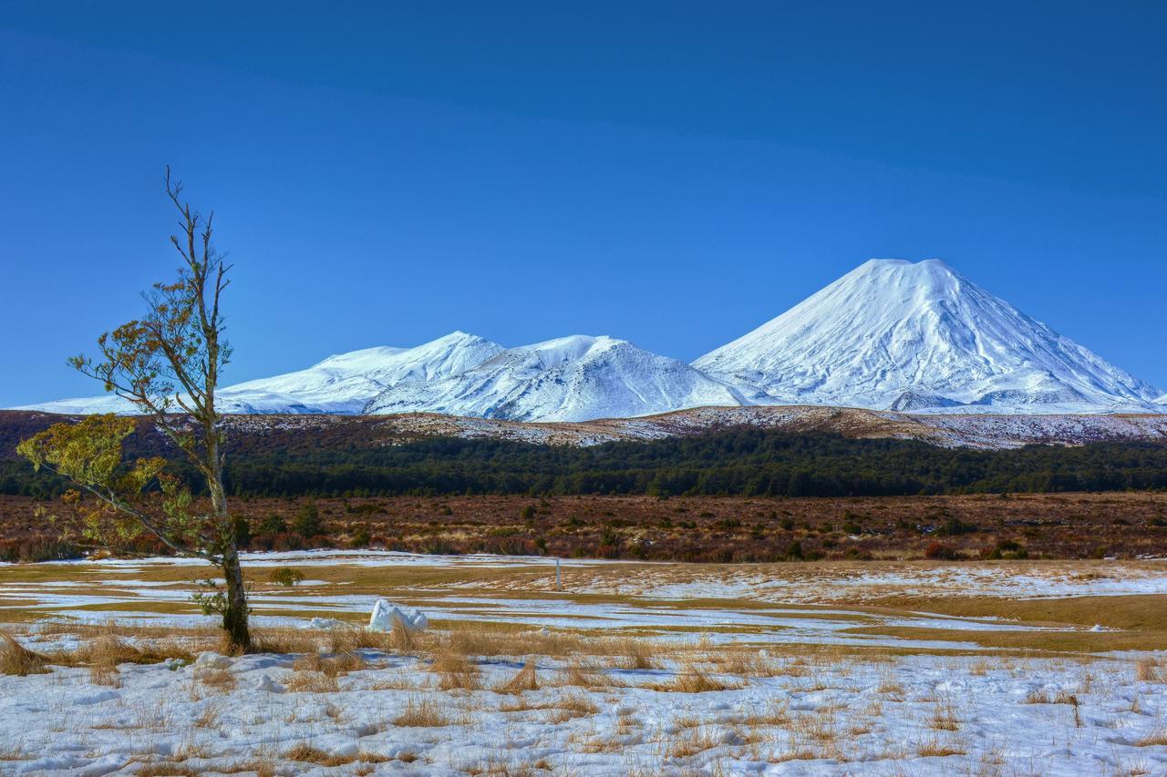 Beech Tree Lodge Огакуне Екстер'єр фото